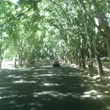 Taller para la Abundancia